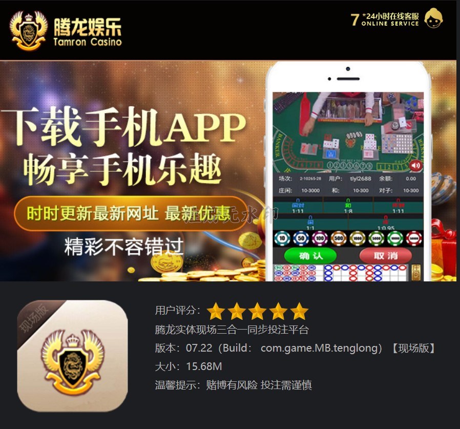 腾龙集团形象